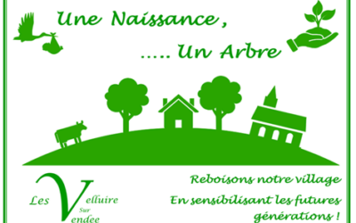 UNE NAISSANCE – UN ARBRE – 23 NOVEMBRE