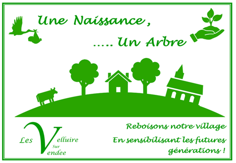 UNE NAISSANCE – UN ARBRE – 23 NOVEMBRE