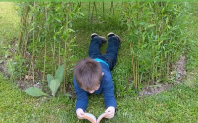 CREATION D’UNE CABANE EN OSIER – 25 JANVIER